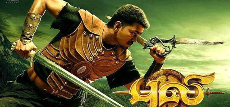 Puli