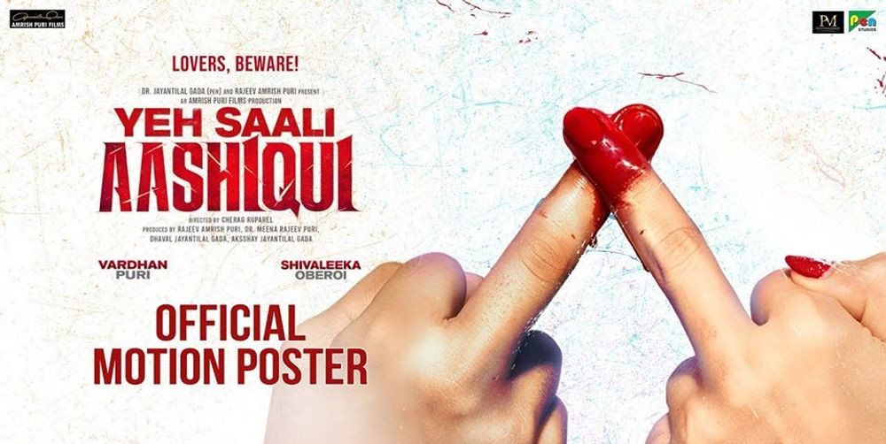Yeh Saali Aashiqui