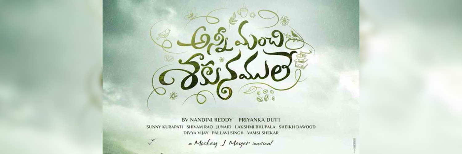  Anni Manchi Sakunamule