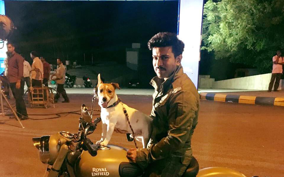 Ram Charan from the sets of Dhruva