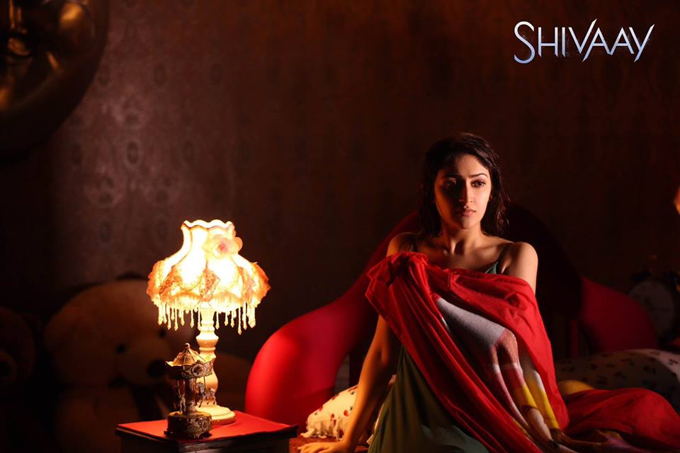 Sayyeshaa Saigal Stills From Shivaay