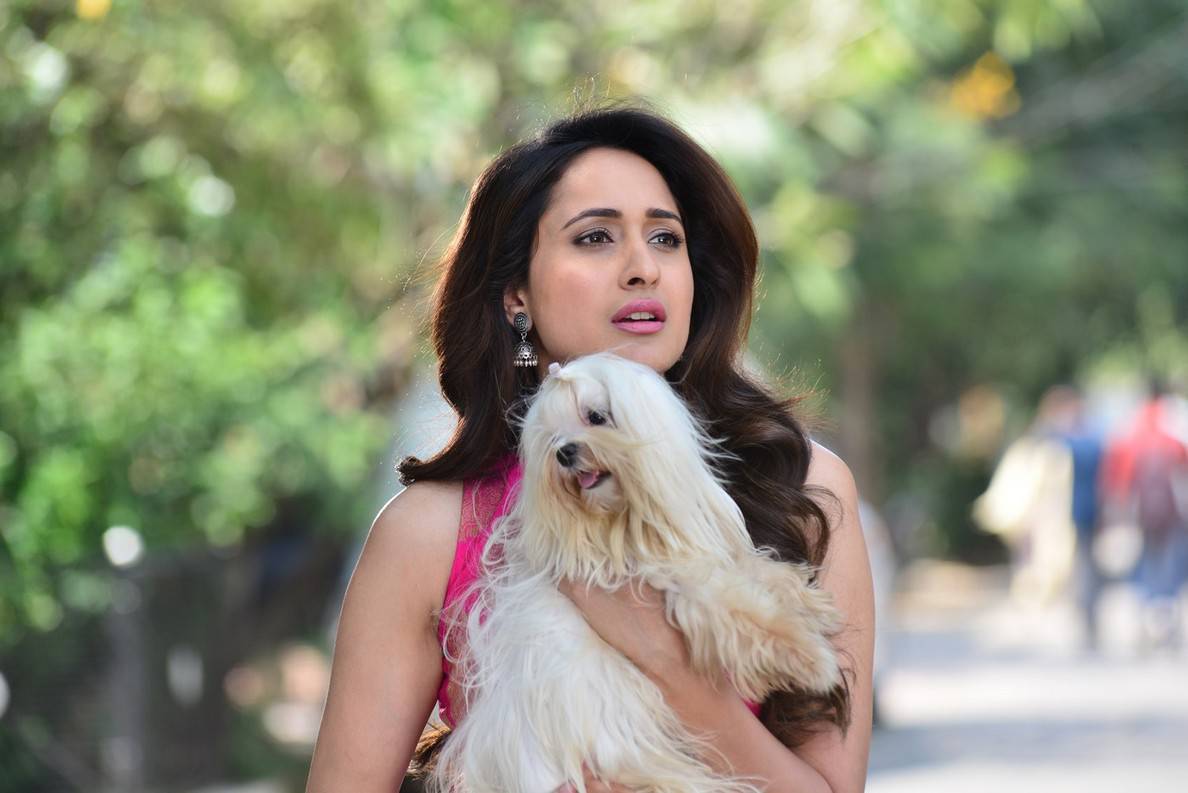 Latest Stills Of Pragya Jaiswal From Gunturodu Movie