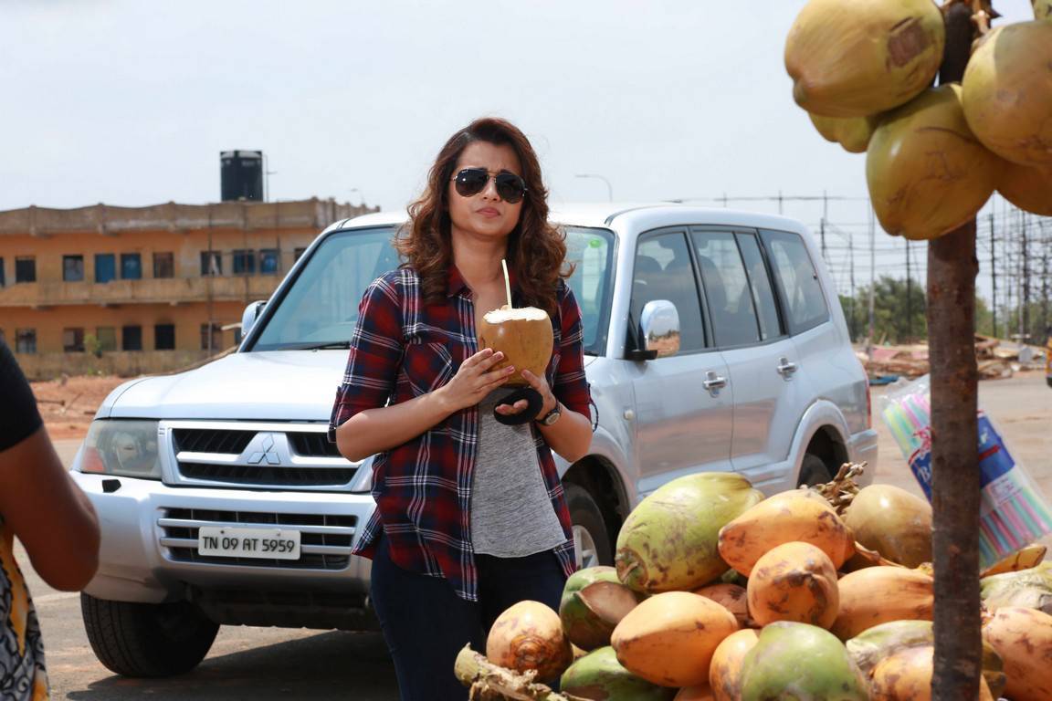 New Stills Of Trisha From Garjanai