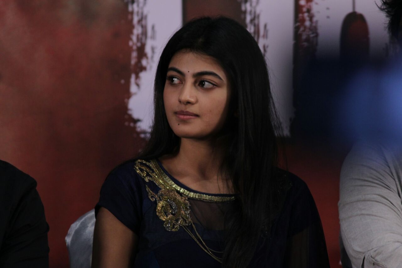 Pandigai press meet stills