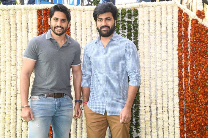 Sharwanand, Kajal Agarwal new movie launch latest stills.