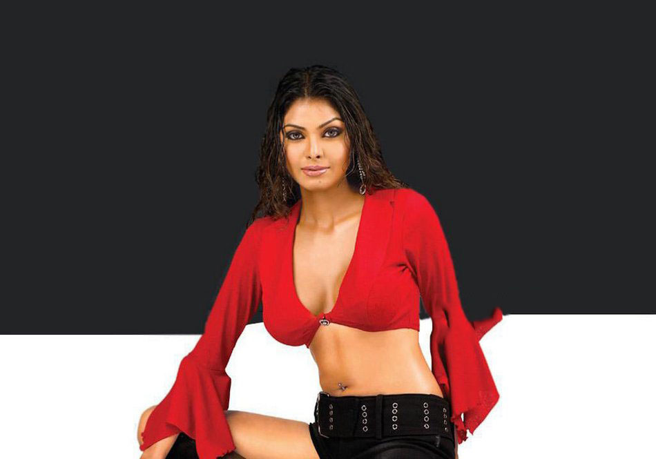 Actress Sherlyn Chopra Stunning Stills