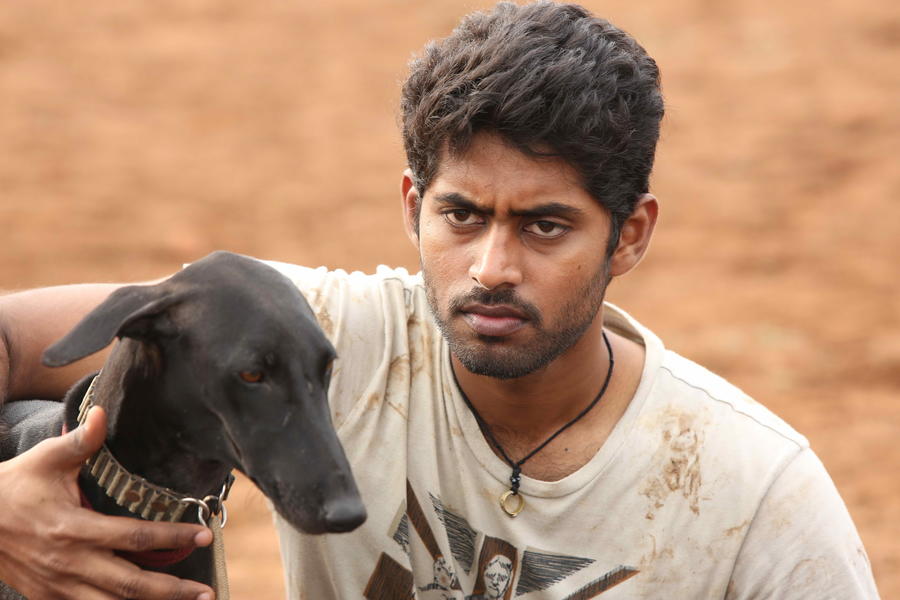 Pariyerum Perumal Movie Stills