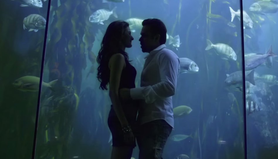 MR. X Hindi Movie Stills | Emraan Hashmi, Amyra Dastur