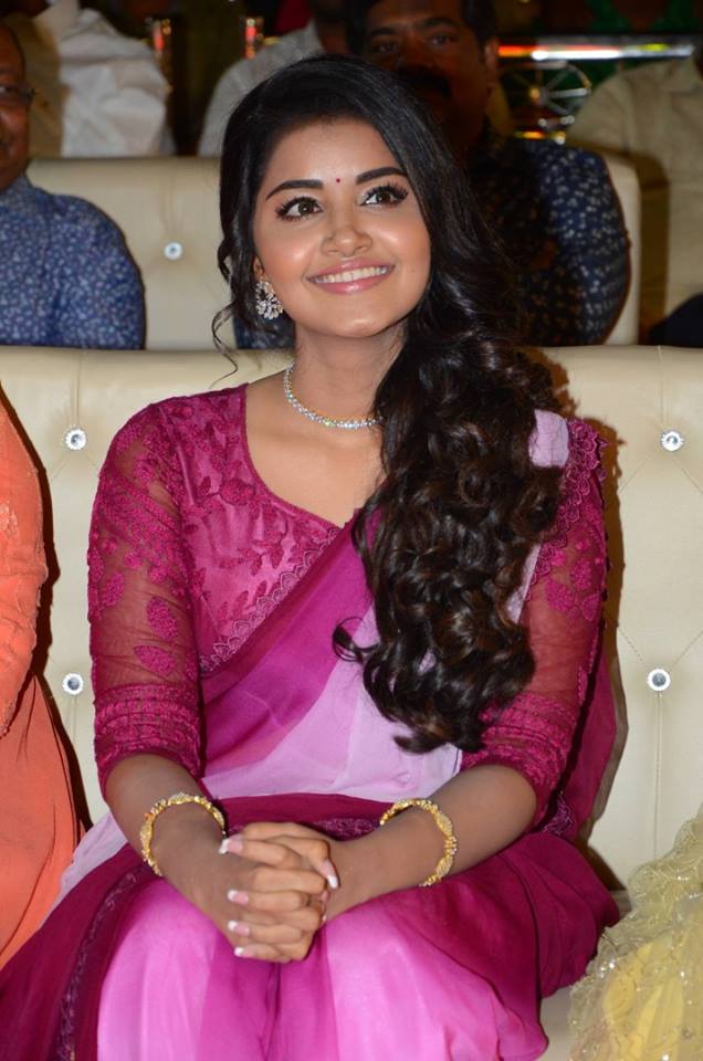 Krishnarjuna Yuddham Pre Release Event Photos.