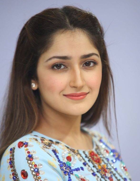 Beautiful Sayesha Saigal Pictures.
