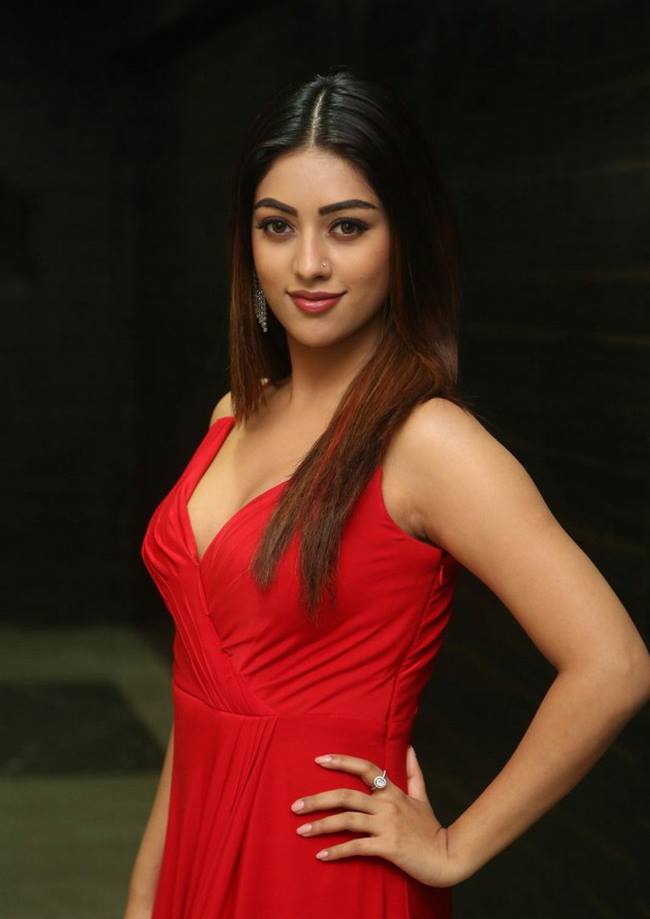 Latest Images Of Anu Emmanuel