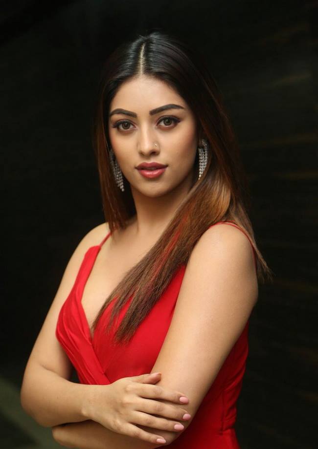 Latest Images Of Anu Emmanuel