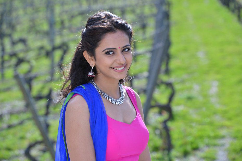 Pandaga Chesko Telugu Movie Stills | Rakul Preet Singh