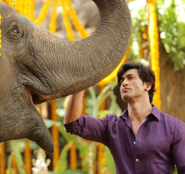 Junglee Fresh Images.