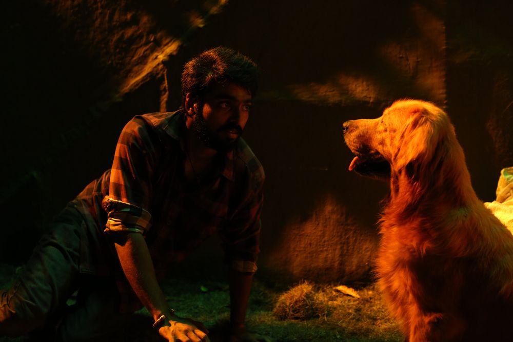 Watchman Latest Images.