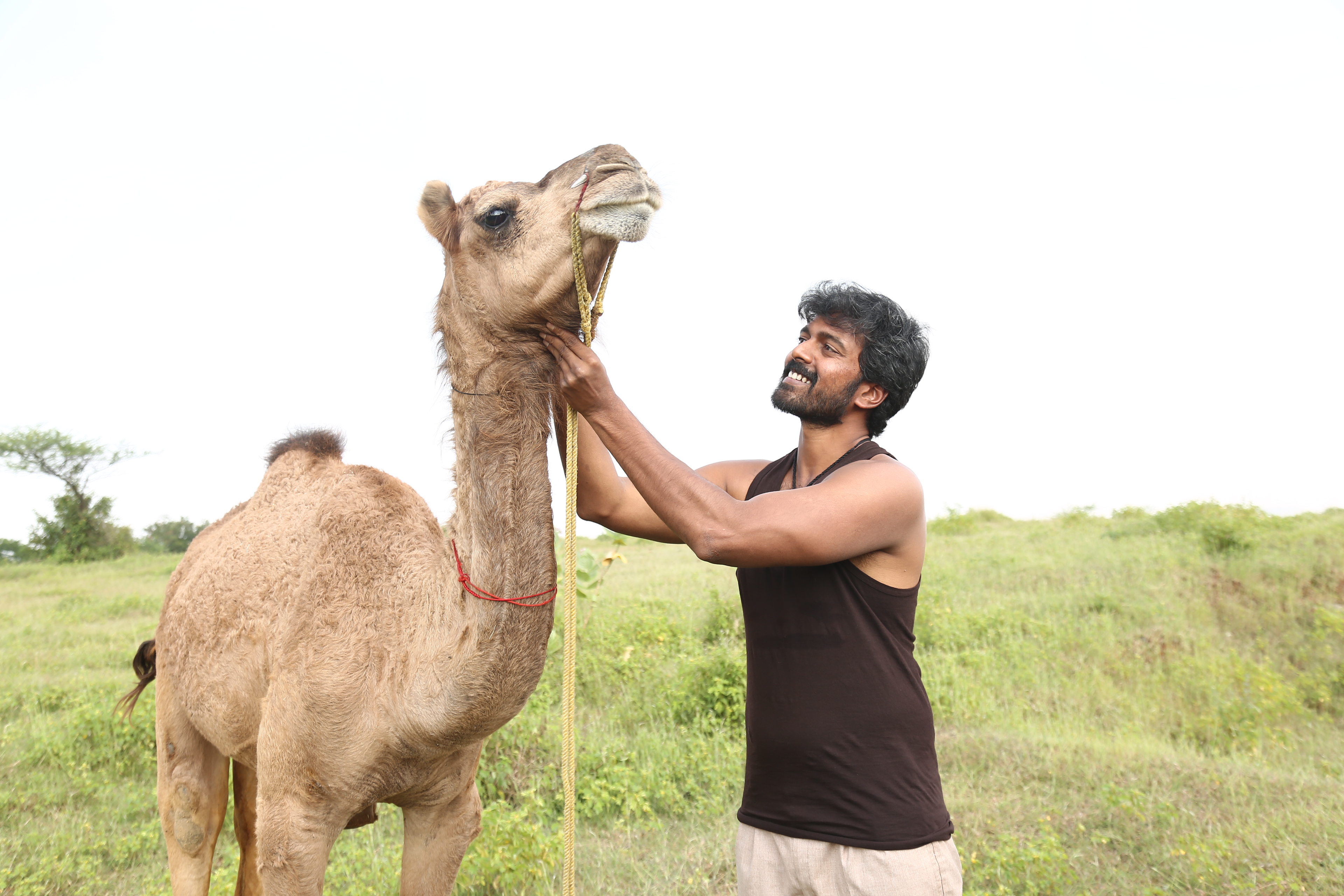 Bakrid Press Meet Stills