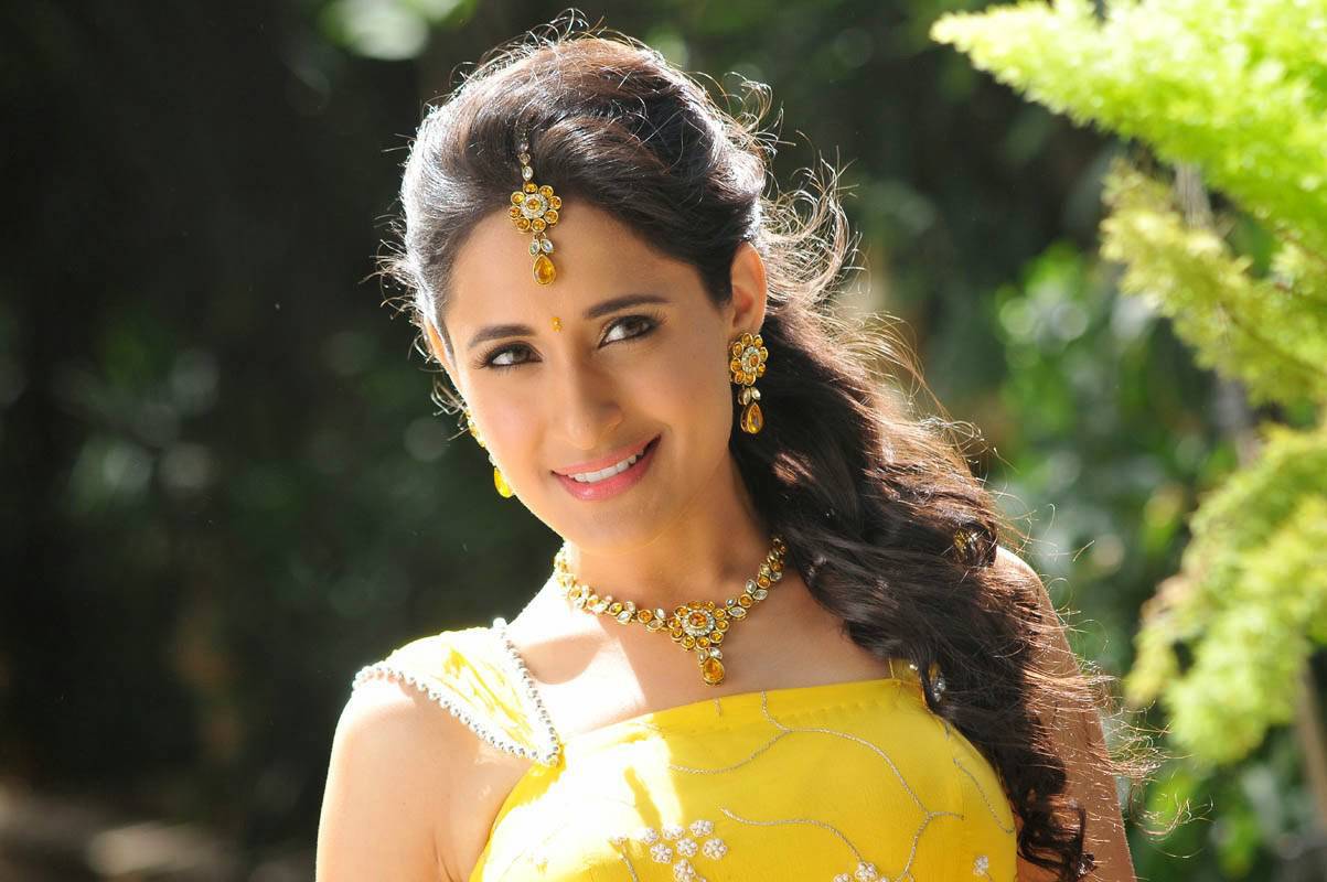 Actress Pragya Jaiswal Stills from Mirchi Lanti Kurradu Telugu Movie