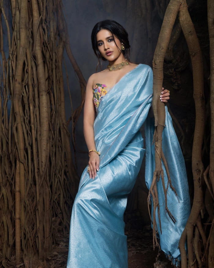 \"Trending Snapshots: Nabha Natesh's Newest Photos\"