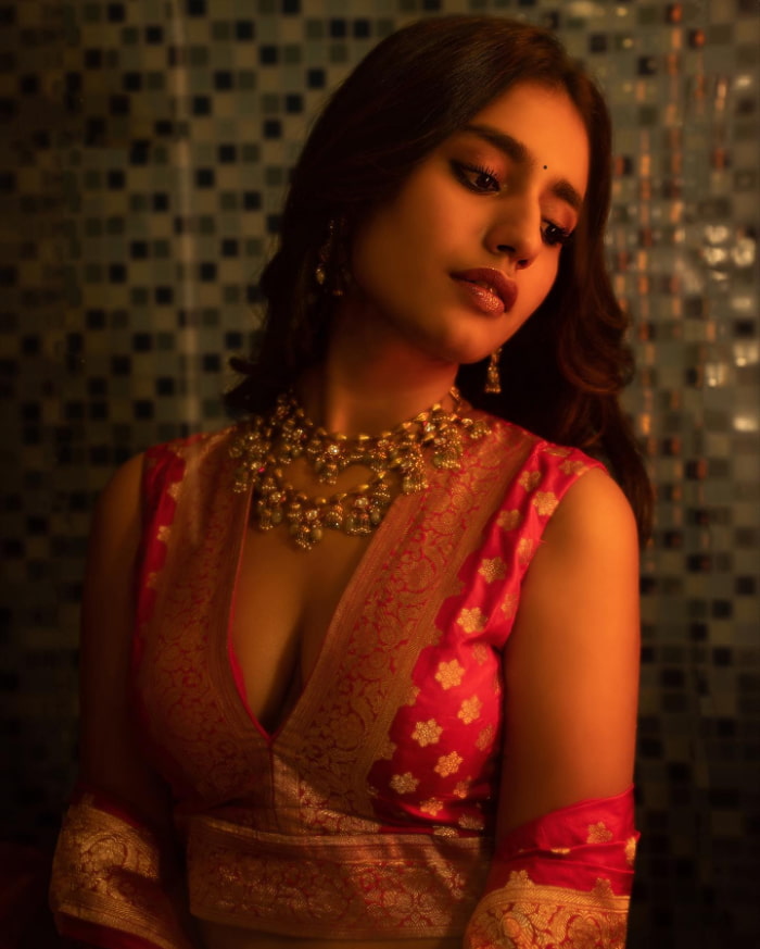 Captivating Photographs of Priya Prakash Varrier | Trending Celeb Portraits