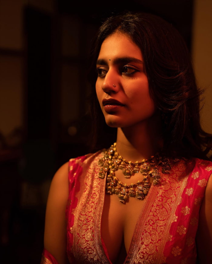 \"Captivating Photographs of Priya Prakash Varrier | Trending Celeb Portraits\"