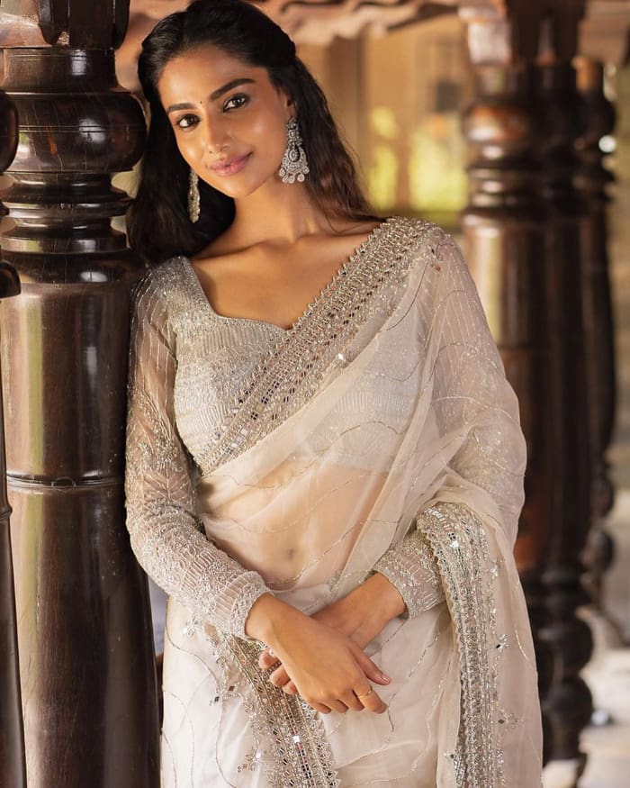 Captivating Snapshots: Latest Photoshoot Featuring Meenakshi Chaudhary