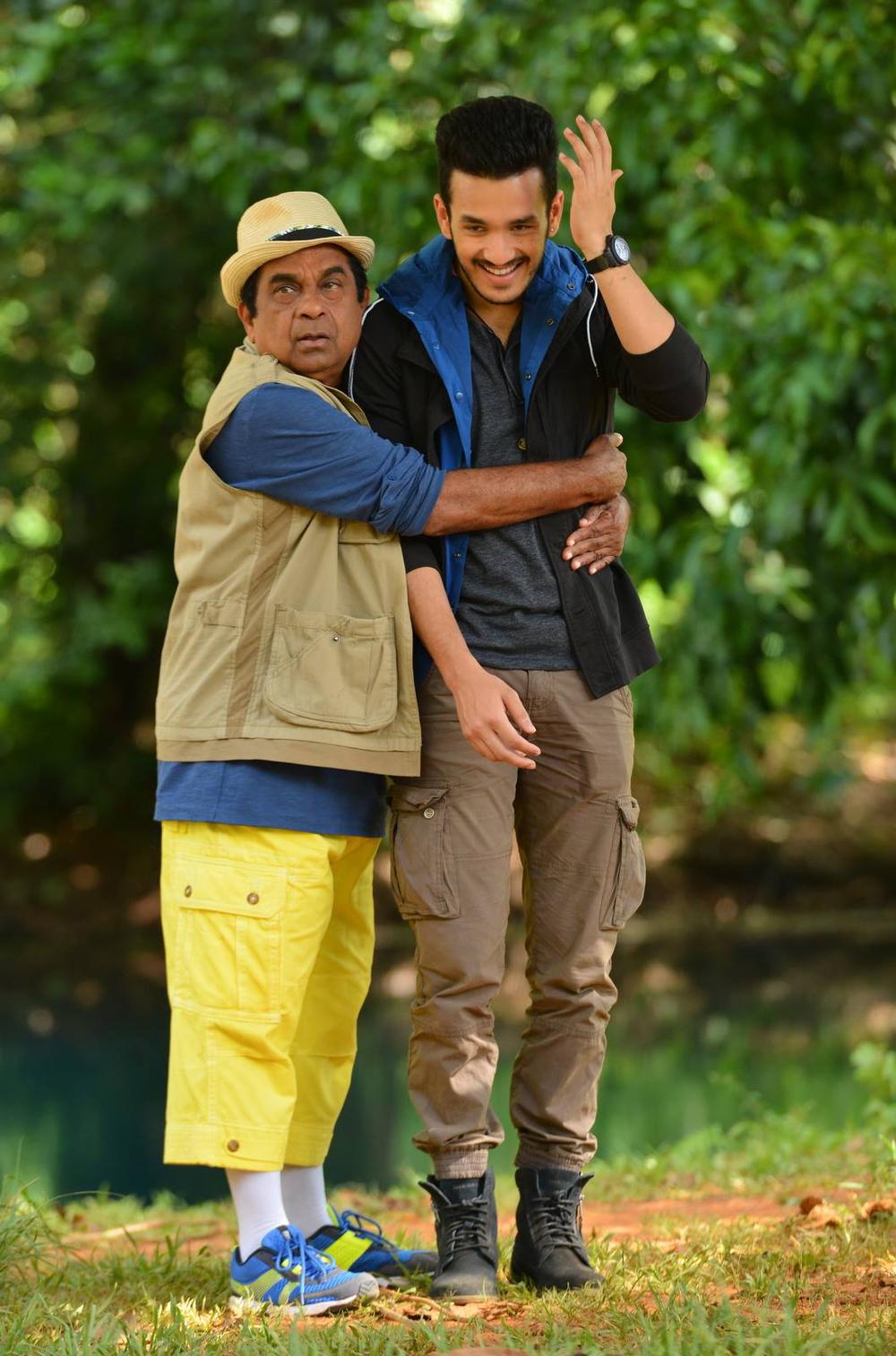 Akhil movie box office report