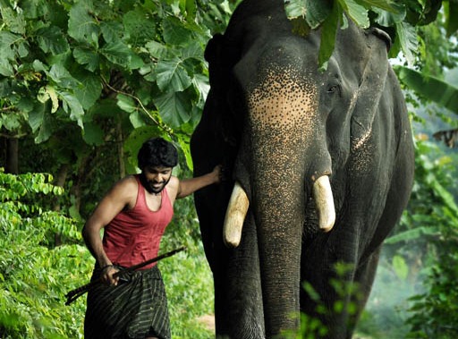 Prabhu Solomon to make Kumki 2