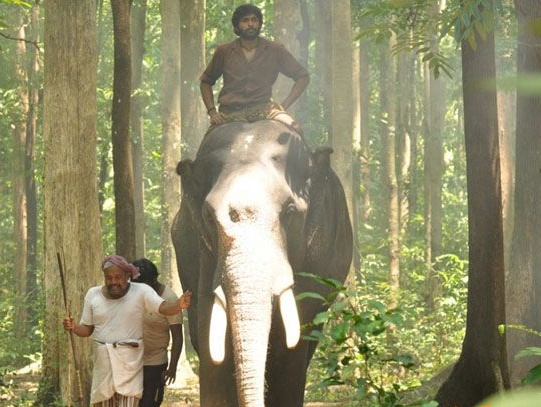 Kumki tamil movie still vikramprabhu