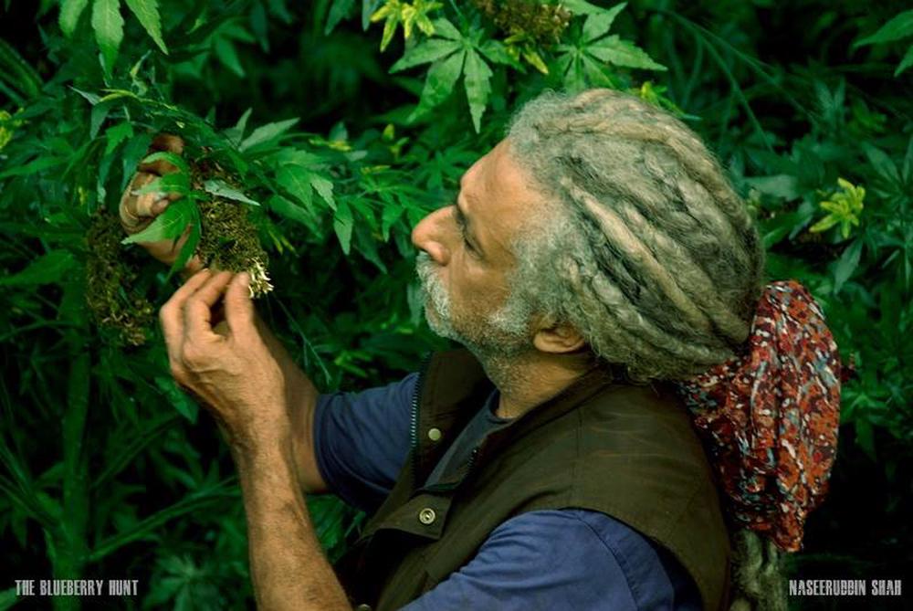 The Blue Berry Hunt Hindi Movie Stills | Naseeruddin Shah